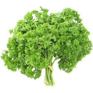 Parsley English