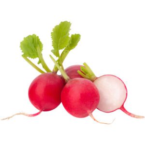 Radish Red Organic