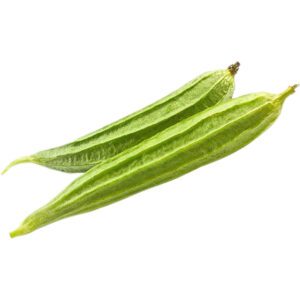 Ridge Gourd India