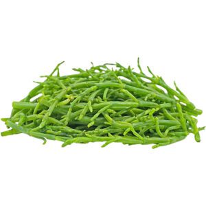 Sea Asparagus Netherlands
