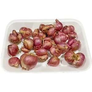 Shallot Baby