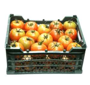 Tomato Green House
