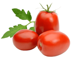 Tomato Plum Roma Holland
