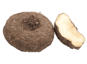 Yam India