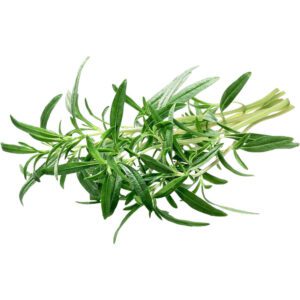 Zaatar