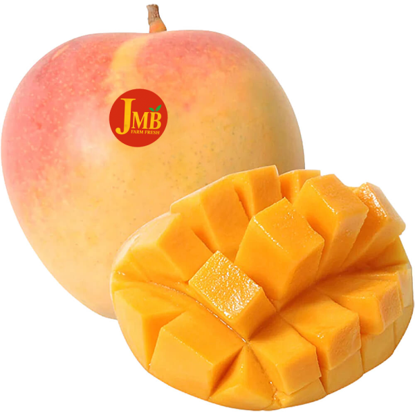 Mango R2E2 Vietnam