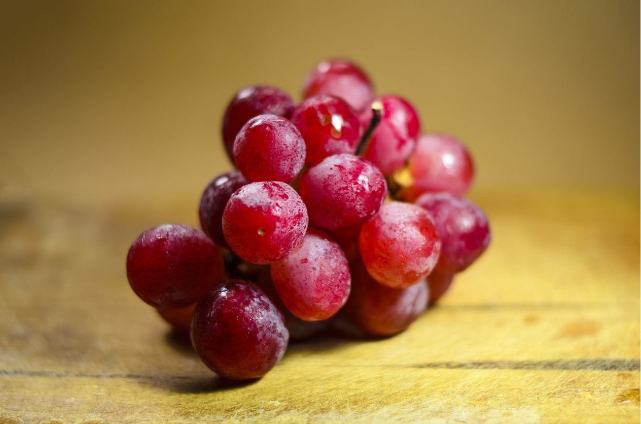 https://cdn.shopify.com/s/files/1/0513/3428/3424/files/How_many_grapes_should_you_eat_in_a_day.jpg?v=1716209195